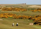 0170 IMG 4620  Cruden Bay golf course