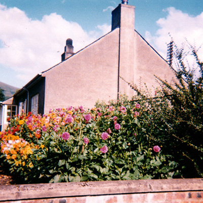 Cairnpark Street garden