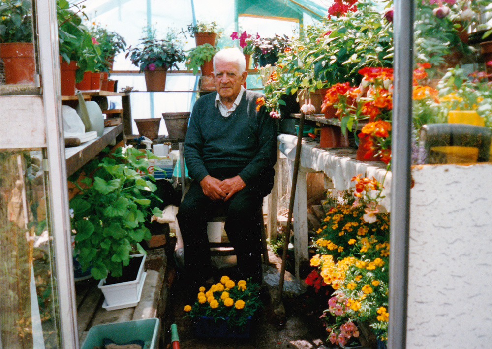 Alf in Greenhouse
