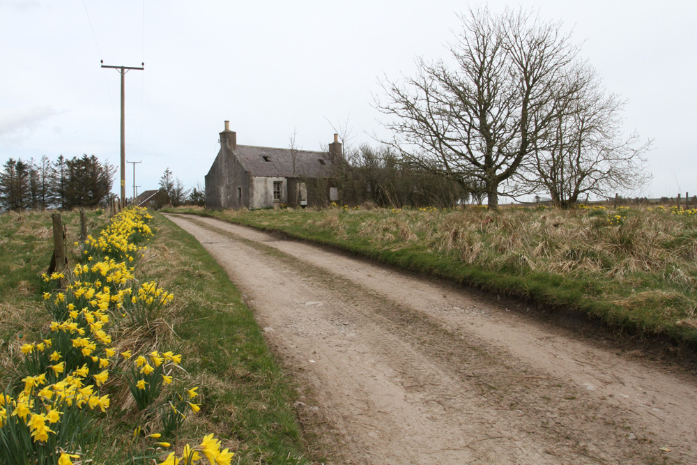 Moss Croft